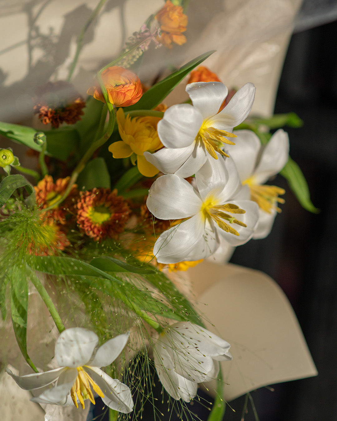 The Whispering Meadow