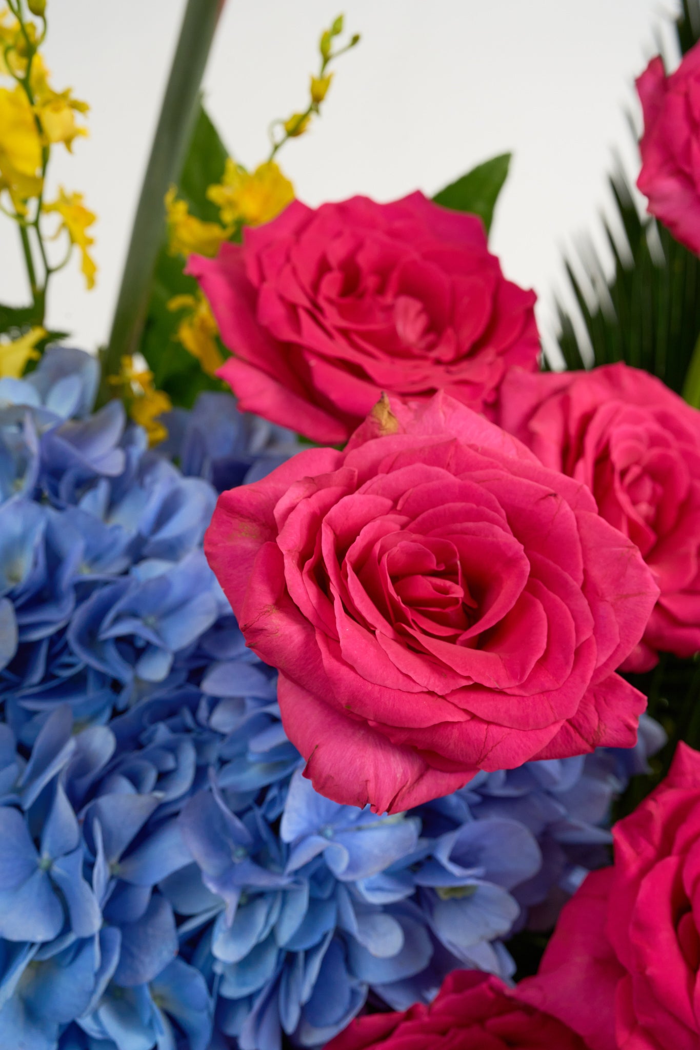 Victory's Bloom