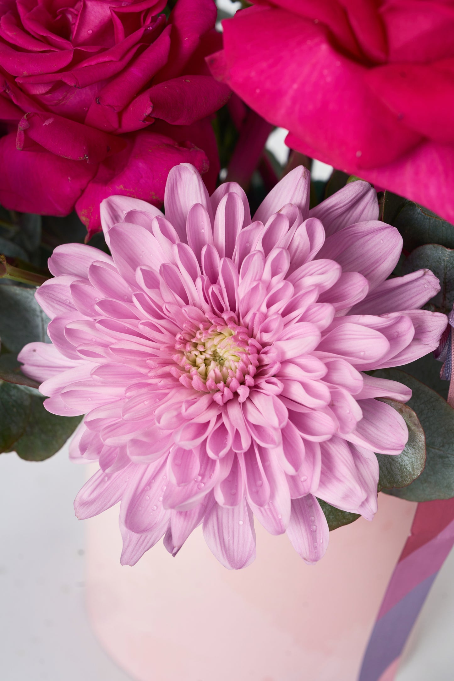 A Moment in Pink
