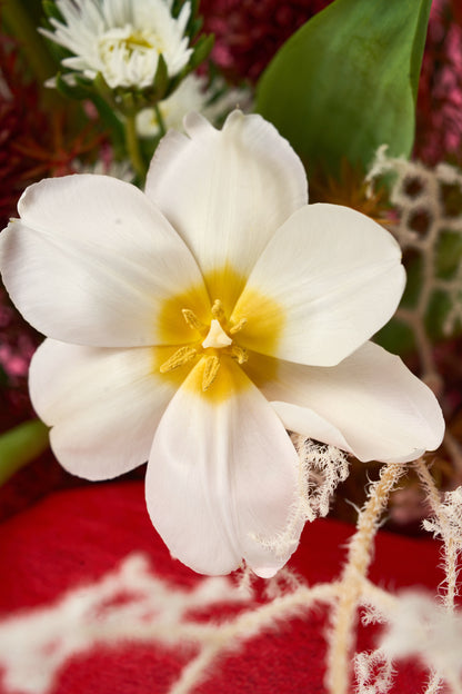 Dư Vị Của Nụ Hôn Đầu
