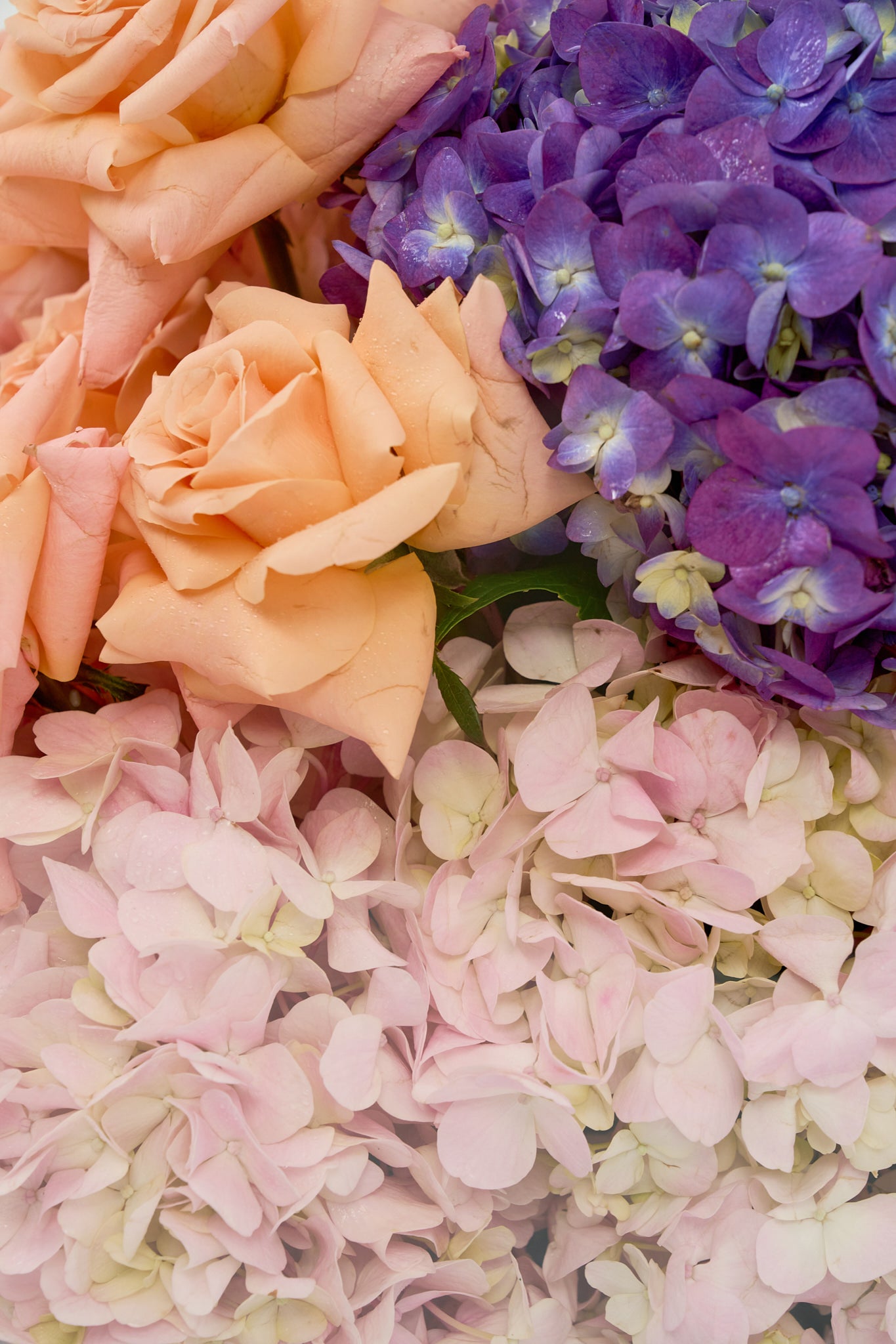 Memory in Blooms