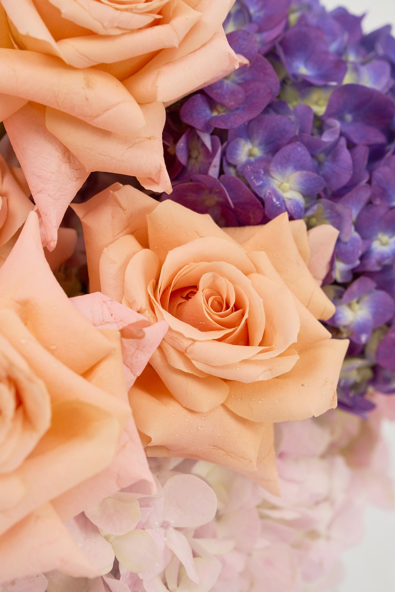 Memory in Blooms