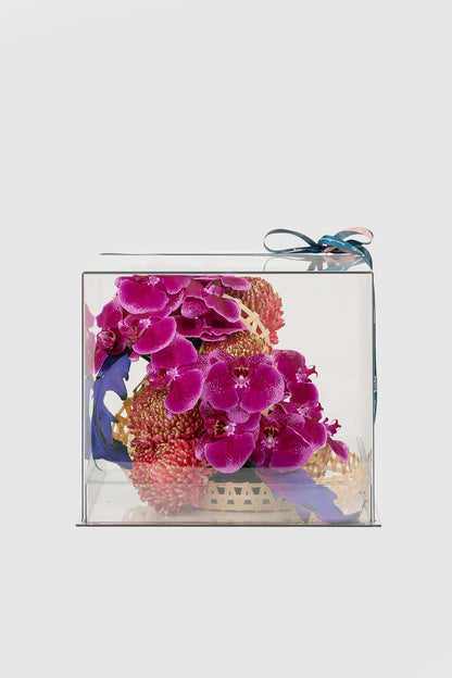 Gương Soi Tâm Hồn