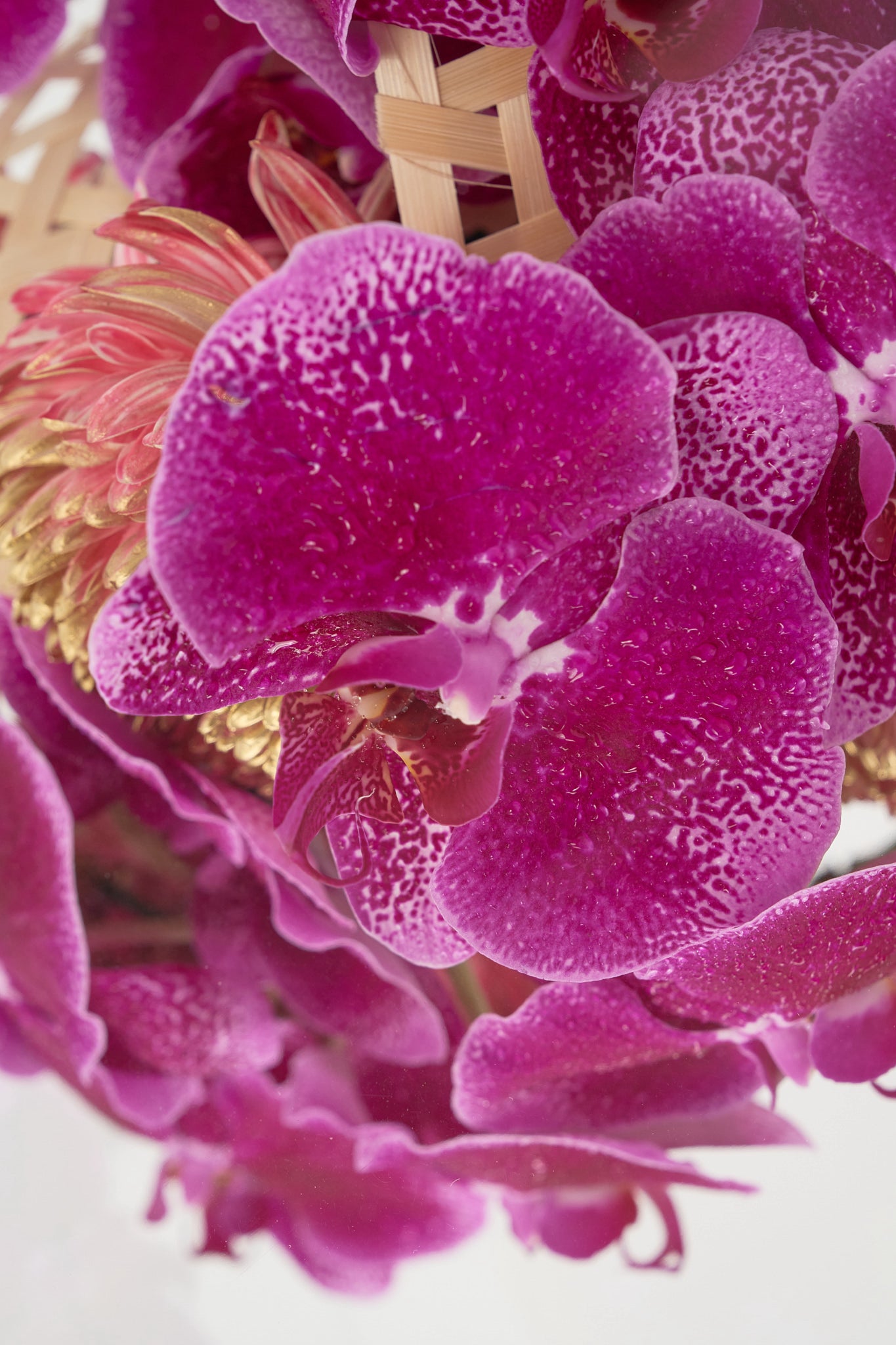 Gương Soi Tâm Hồn