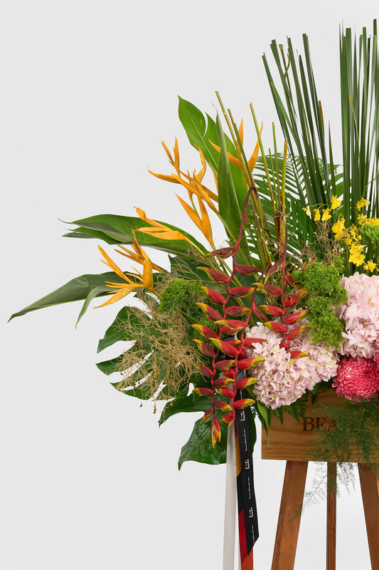 Khi Sao Trời Đồng Điệu