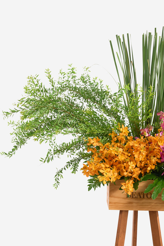 Vương Miện Hoàng Kim