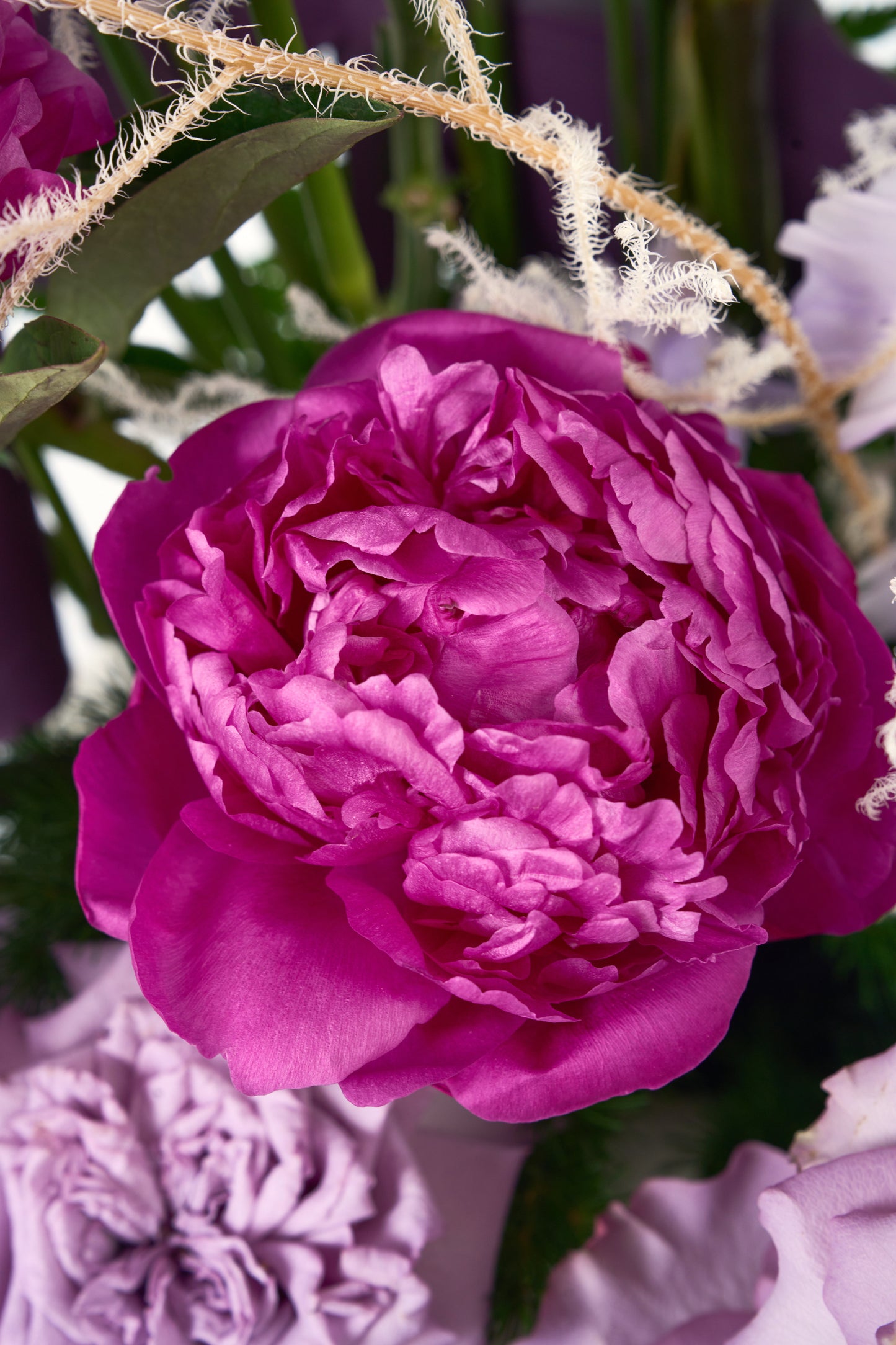 Lavender’s Sway