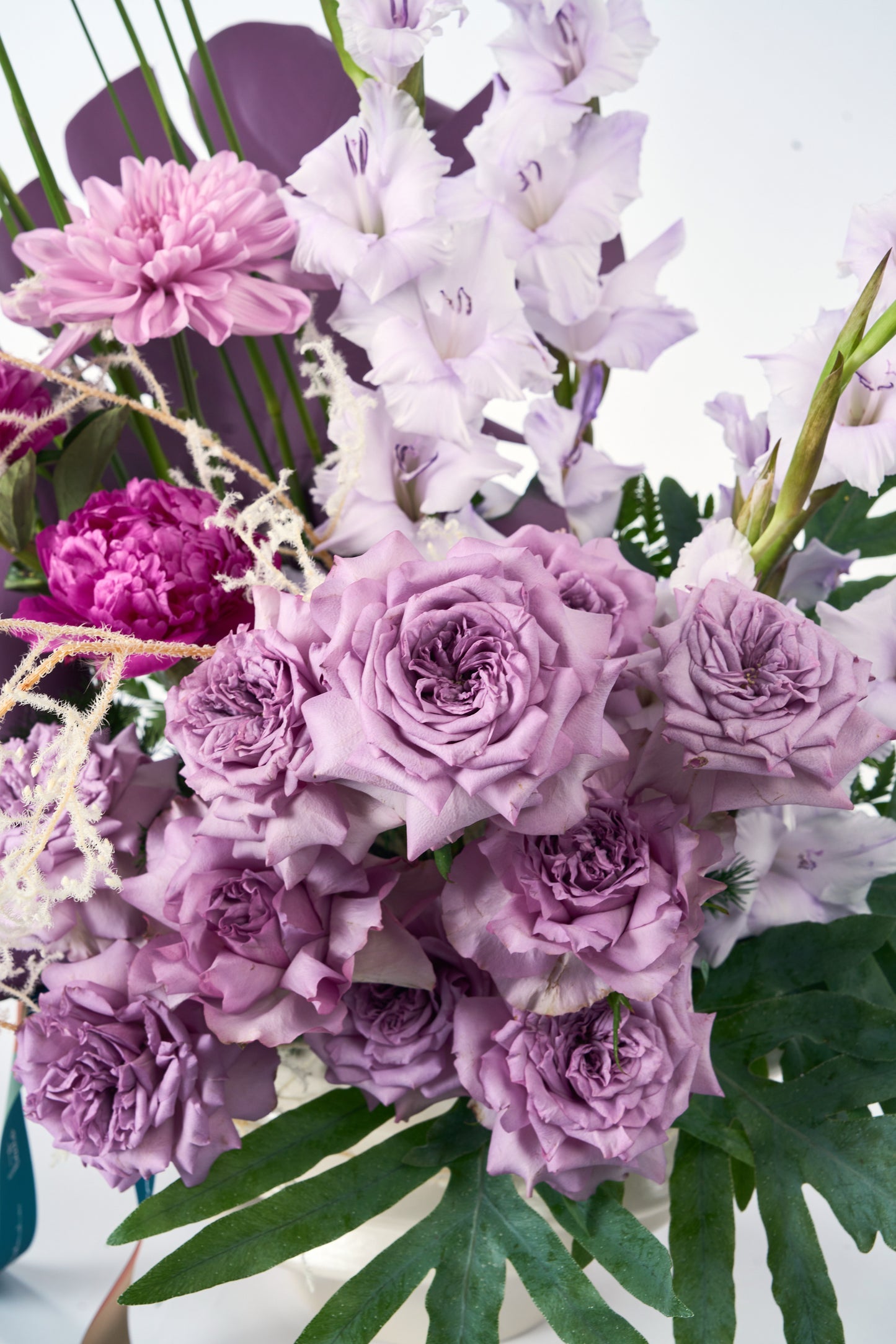 Lavender’s Sway